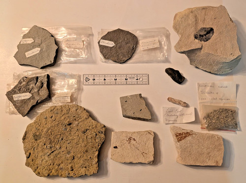 Vintage estate fossil - vintage,