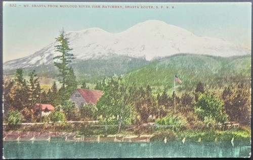 Vintage 1900s shasta - vintage,
