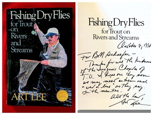 Fishing dry flies - flies, for