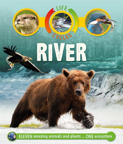 Life cycles river - life, cycles: