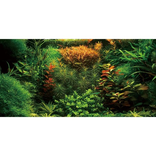 36x24 inch aquarium background - 36x24,